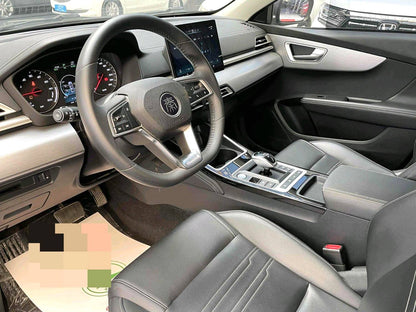 比亚迪 秦EV 2019款 秦 EV 高续航版 尊贵型 自动挡