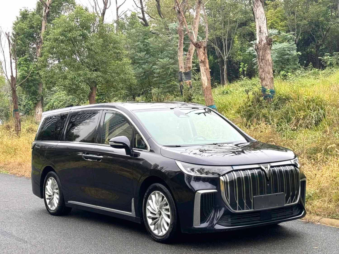 岚图 2022款 梦想家 0碳版 想+智驾包自动挡