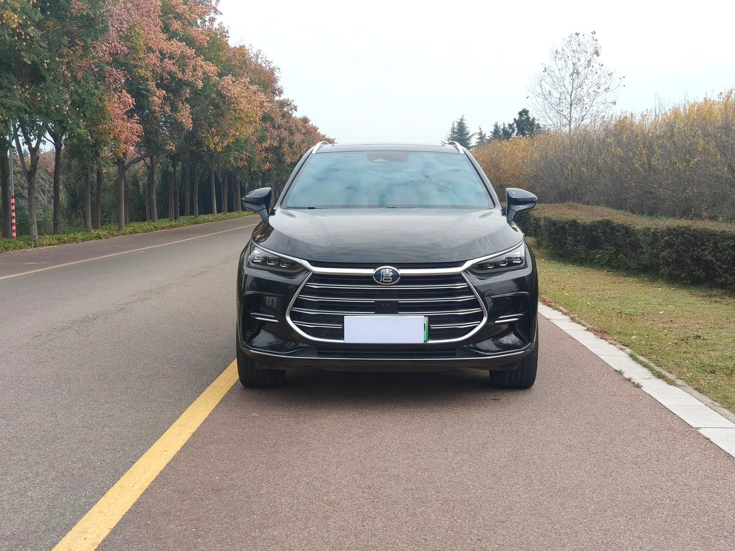 比亚迪唐新能源2023款唐DM-i1.5T无级112KM冠军版尊贵型自动挡